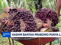 Video: Hashim Bantah Prabowo Punya Lahan Sawit