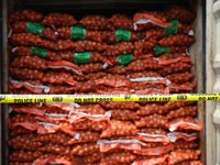 Kemendag Blak-blakan Soal RI Impor Bawang Bombai, Begini Penjelasannya