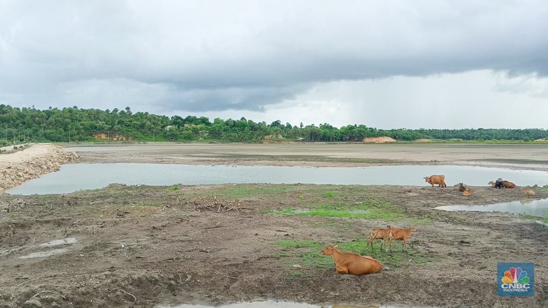 Direktur Jenderal Pengelolaan Kelautan KKP, Koswara  saat meninjau langsung lokasi Proyek Strategis Nasional (PSN) Kawasan Sentra Industri Garam Nasional (K-SIGN) di Rote Ndao, Nusa Tenggara Timur (NTT), Selasa (23/12/2025). (CNBC Indonesia/Martyasari Rizky)