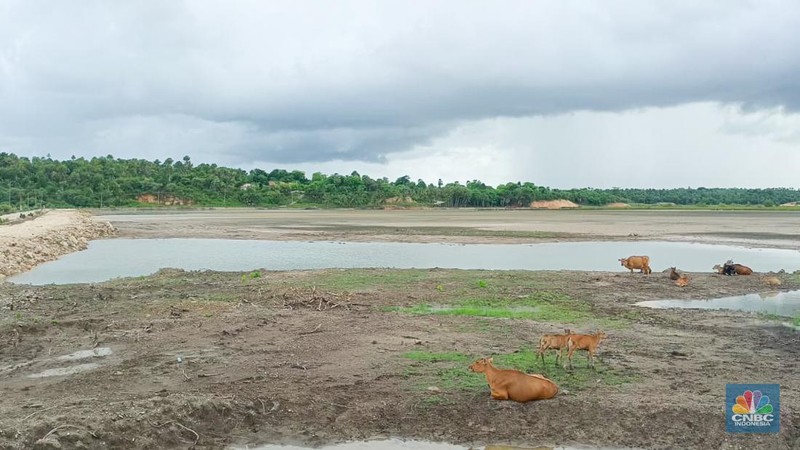 Direktur Jenderal Pengelolaan Kelautan KKP, Koswara  saat meninjau langsung lokasi Proyek Strategis Nasional (PSN) Kawasan Sentra Industri Garam Nasional (K-SIGN) di Rote Ndao, Nusa Tenggara Timur (NTT), Selasa (23/12/2025). (CNBC Indonesia/Martyasari Rizky)