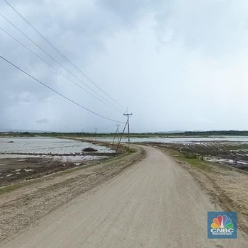 Penampakan Tambak Garam Raksasa Baru Milik RI, Lokasinya Tak Terduga
