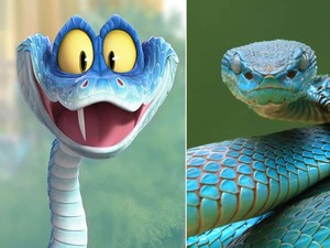 Mengenal Ular Blue Pit Viper Indonesia, Viral di China Gegara Zootopia 2