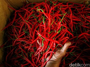 Harga Cabai Merah Naik di Sumut, Nias Tertinggi Rp 40 Ribu/Kg