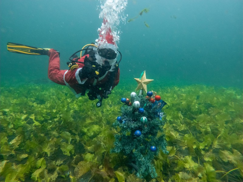 People dressed as Santa Claus ride their motorcycles through Barcelona, Spain, December 21, 2025. REUTERS/ Bruna Casas