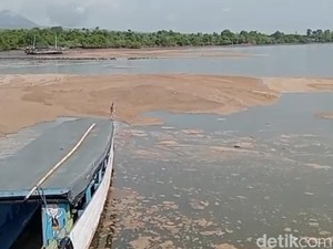 Fenomena Busa Coklat Muncul Lagi di Teluk Bima, Diduga karena Ini