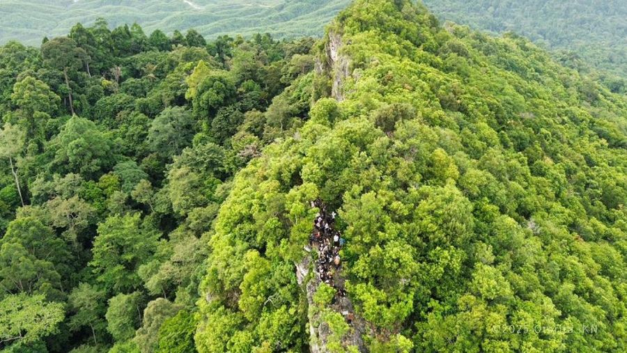 Paket Authentic Hiking Gunung Parung menawarkan pengalaman pendakian autentik di kawasan Hutan Adat Suku Balik Sepaku yang dikurasi secara imersif. (Dok. Humas Otorita Ibu Kota Nusantara)