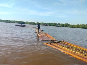 Polres Meranti Amankan 10 Ton Kayu Illegal Logging di Sungai Dadap