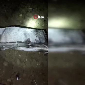 Hancur Berantakan, Detik-Detik Jet Pribadi Bawa Pejabat Militer Jatuh