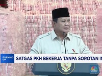 Video: Satgas PKH Bekerja Tanpa Sorotan Influencer