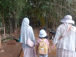 Cerita Seharian Menghabiskan Libur Sekolah Bareng Keponakan di Tangsel