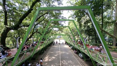  Liburan Murah Meriah di Hutan Kota Babakan Siliwangi Bandung