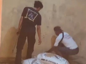 Hii Kobra Jawa 1 Meter Bersarang di Gudang Gabah Milik Warga Klaten