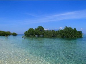 Serasa di Benua Afrika, Ini Daya Tarik Namu Beach di Sumbawa Barat