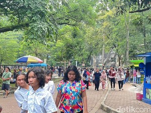 Pengunjung TM Ragunan Tembus 50.211 Orang di Libur Natal 2025
