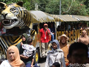 Video: Ragam Alasan Pengunjung Main ke Ragunan di Libur Nataru