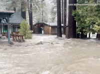 RI Sudah Masuk Krisis Iklim, Ternyata Ini Penyebabnya