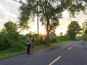 Jalan Berlubang di Jalan Singaraja-Gilimanuk Tewaskan Mahasiswi Asal Jember