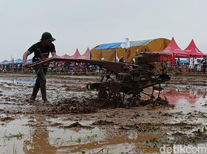 Video: Aksi Para Petani Ikuti Lomba Balap Traktor di Probolinggo