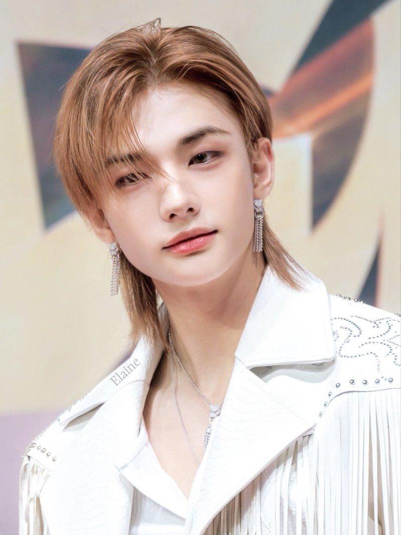 Viral Anting Berlian Hyunjin Stray Kids Hilang, Fans: Harganya Bikin Menjerit