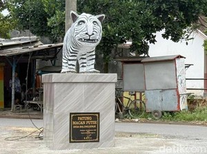 Video: Heboh Patung Macan Gemoy di Kediri Jadi Rebutan Selfie!