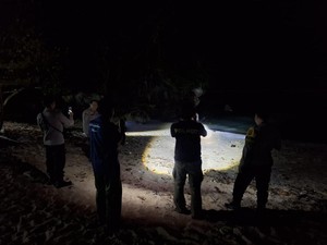 Kemunculan Buaya di Pantai Ngliyep Malang, Evakuasi Terkendala Ombak