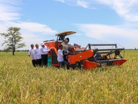 Mentan Amran Lagi Perkuat Ekosistem Pangan RI, Begini Caranya