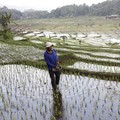Kementan Lagi Siapkan Cetak Sawah Ribuan Hektare, Ini Titik Lokasinya