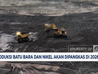 Video: Produksi Batu Bara dan Nikel Akan Dipangkas Pada 2026