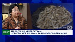 Video: Sertifikasi Bebas Radioatif, RI Sudah Kirim Udang Rp3,6 T ke AS