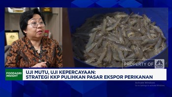Video: Sertifikasi Bebas Radioatif, RI Sudah Kirim Udang Rp3,6 T ke AS