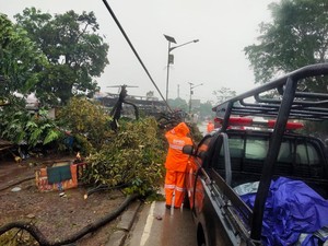 Hujan Angin di Kemang Bogor, Pohon Tumbang dan Sejumlah Bangunan Rusak