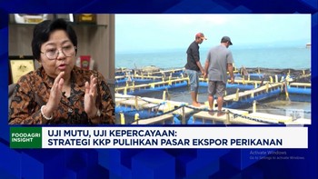 Video: Jurus KKP Bantu Pengusaha Kecil Penuhi Syarat Ekspor Ikan-Udang