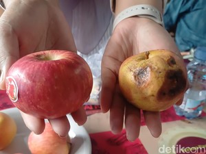 Video: Heboh Apel MBG di Pangkep Busuk, Pihak SPPG Membantah