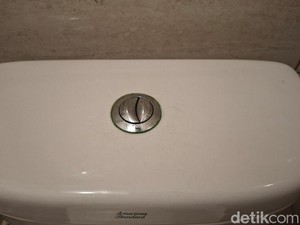 Banyak Kloset Duduk Punya 2 Tombol Flush, Apa Sih Fungsinya?