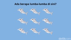 Mulai Sulit Fokus usai Libur Panjang? Coba Asah Lagi dengan Hitung Jumlah Hewan Ini