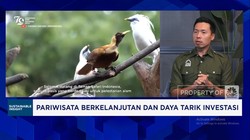 Video: Cara Bikin Ekowisata Jadi Penggerak Ekonomi-Serap Tenaga Kerja