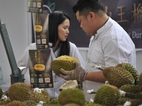 Malaysia Serius Mau Jadi Durian Terbesar Dunia, Ini Langkahnya!