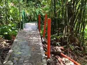 Viral Proyek Ratusan Juta di Goa Lawah Rusak, Padahal Baru Jadi Sepekan