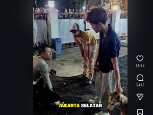 Anjing Gigit Kucing hingga Sekarat di Bandung, Pemilik Diminta Tanggung Jawab