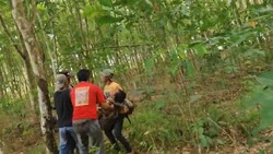 Tragis, Warga Lampung Timur Meninggal Diseruduk Gajah Liar di Way Kambas
