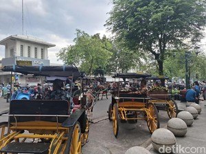 Ramai Video Kuda Andong Ambruk di Malioboro Diduga Kelelahan