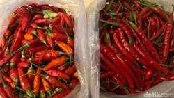 Begini Pengalaman Beli Cabe Takengon dari Aceh yang Masih Segar!