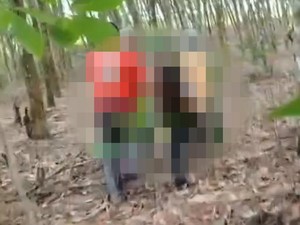 Video: Kades di Lampung Timur Tewas Mengenaskan saat Halau Gajah Liar