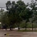 Foto-Foto Banjir Cilegon, Mobil Terbawa Arus-Akses Jalan Terputus