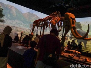 Ini Kalangan yang Bisa Akses Gratis Museum Nasional