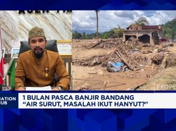 Video: Perambahan Hutan Sebab Banjir Aceh Timur, Pemkab Lakukan Ini!
