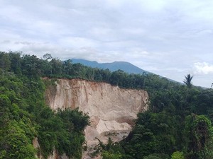 Tebing Ngarai Sianok Agam Longsor Setinggi 120 Meter Usai Hujan Deras