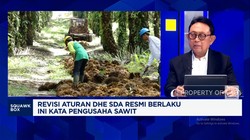 Video: Dolar Ekspor SDA Wajib Masuk Himbara,Pengusaha Sawit Teriak Ini