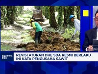 Video: Dolar Ekspor SDA Wajib Masuk Himbara,Pengusaha Sawit Teriak Ini