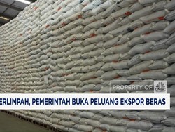Video: Stok Berlimpah, Pemerintah Buka Peluang Ekspor Beras